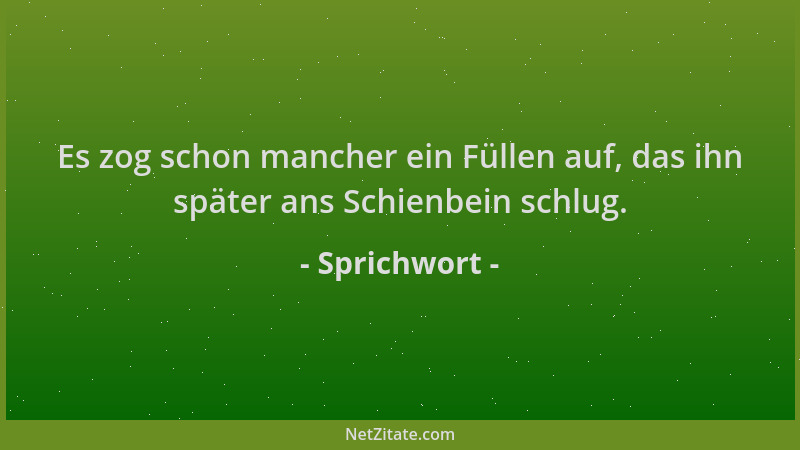 Sprichwort - Es zog schon mancher ein Füllen auf, das ihn später ans Schienbein schlug....