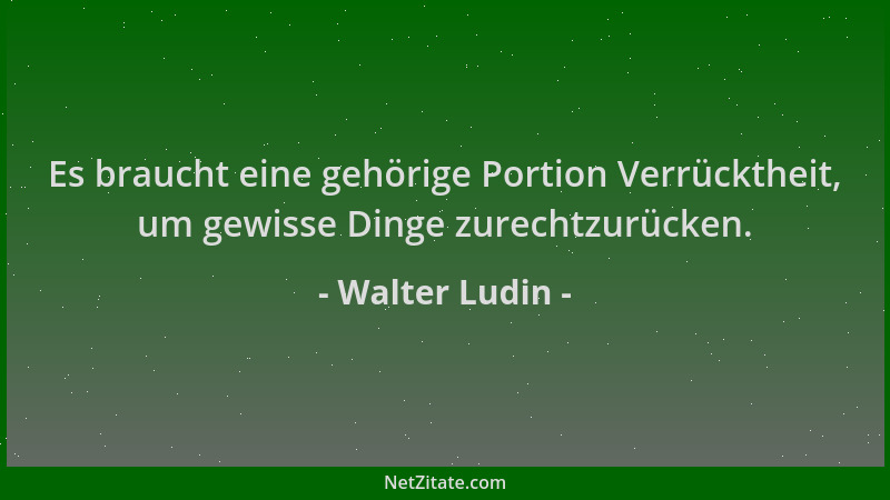 Walter Ludin - Es braucht eine gehörige Portion Verrücktheit, um gewisse Dinge zurechtzurücken....