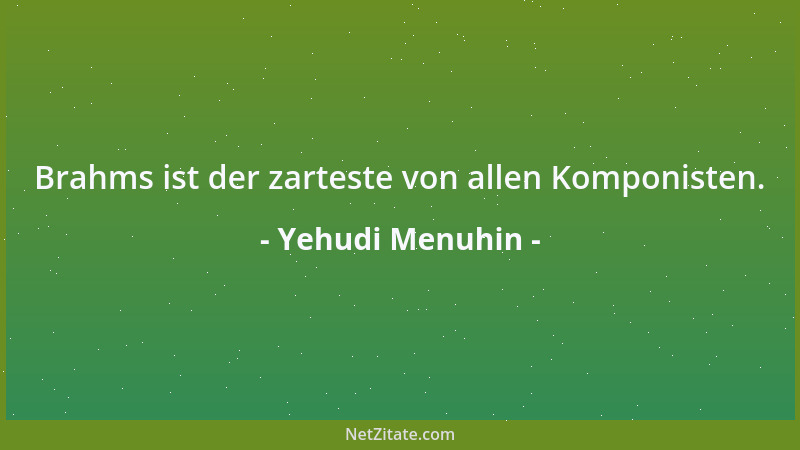 Yehudi Menuhin - Brahms ist der zarteste von allen Komponisten....