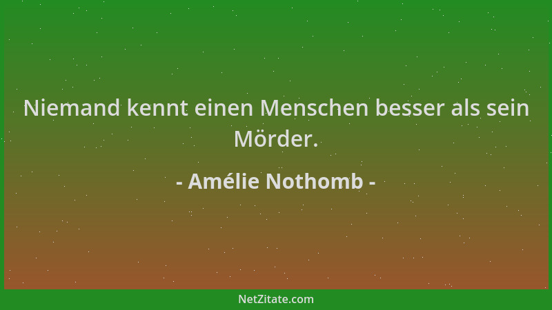 Amélie Nothomb - Niemand kennt einen Menschen besser als sein Mörder....