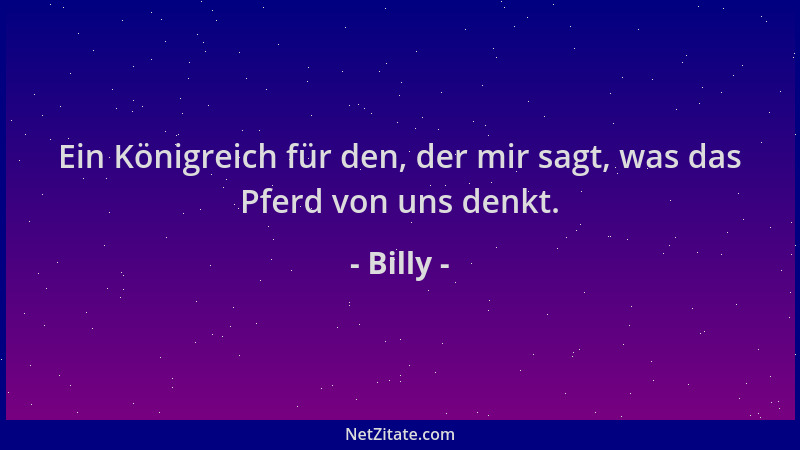 Billy - Ein Königreich für den, der mir sagt, was das Pferd von uns denkt....
