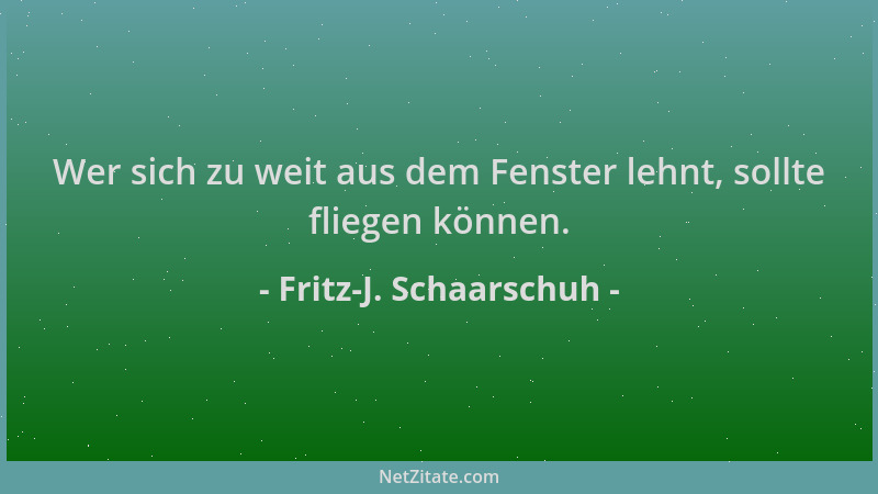 Fritz-J. Schaarschuh - Wer sich zu weit aus dem Fenster lehnt, sollte fliegen können....