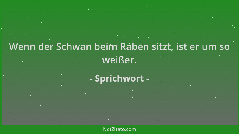 Sprichwort - Wenn der Schwan beim Raben sitzt, ist er um so weißer....