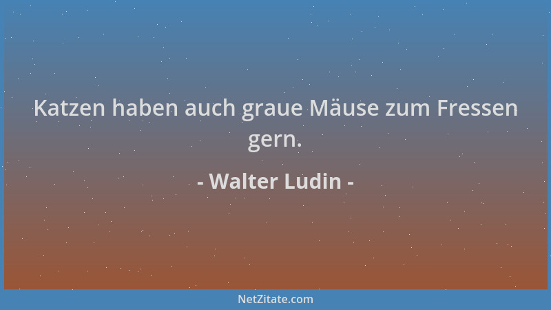 Walter Ludin - Katzen haben auch graue Mäuse zum Fressen gern....