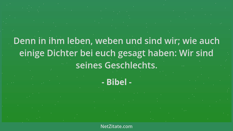 Bibel - Denn in ihm leben, weben und sind wir; wie auch einige Dichter bei euch gesagt haben: Wir sind seines Geschlechts....