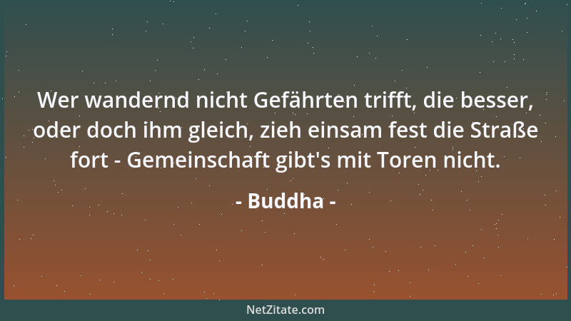 Buddha - Wer wandernd nicht Gefährten trifft, die besser, oder doch ihm gleich, zieh einsam fest die Straße fort - Gemeinsc...