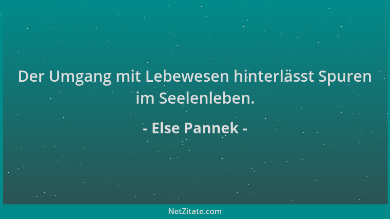 Else Pannek - Der Umgang mit Lebewesen hinterlässt Spuren im Seelenleben....
