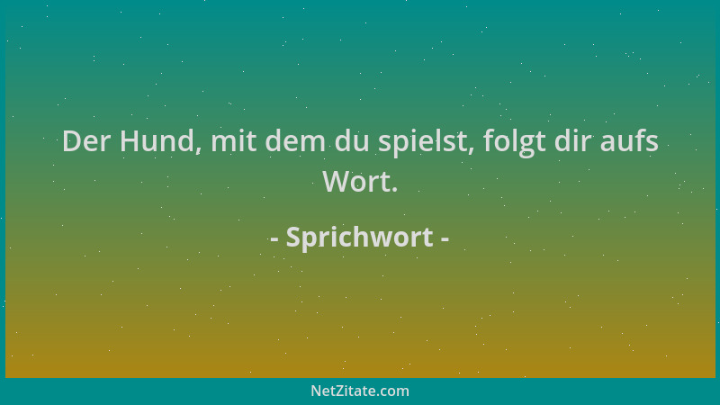 Sprichwort - Der Hund, mit dem du spielst, folgt dir aufs Wort....