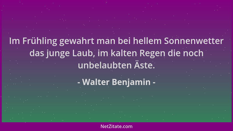 Walter Benjamin - Im Frühling gewahrt man bei hellem Sonnenwetter das junge Laub, im kalten Regen die noch unbelaubten Äste...