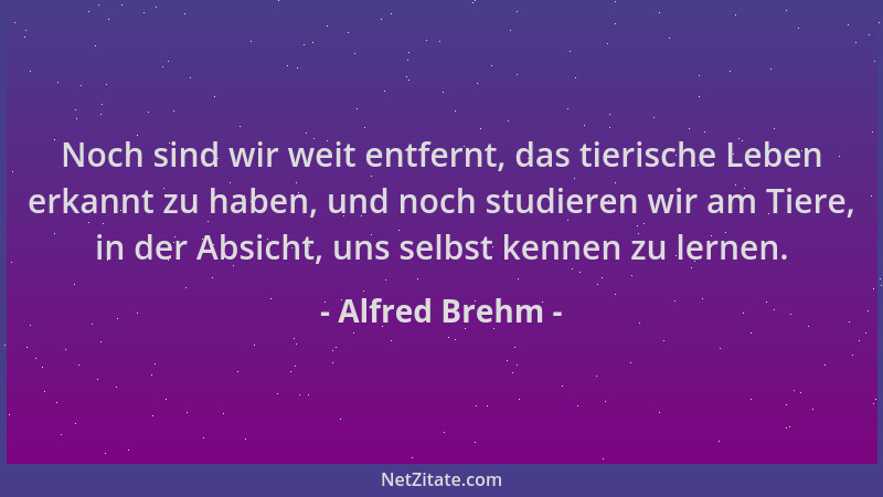 Alfred Brehm - Noch sind wir weit entfernt, das tierische Leben erkannt zu haben, und noch studieren wir am Tiere, in der A...