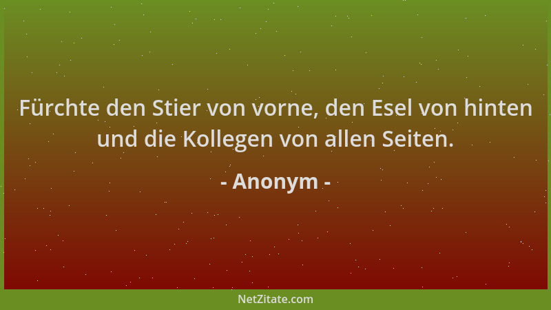 Anonym - Fürchte den Stier von vorne, den Esel von hinten und die Kollegen von allen Seiten....