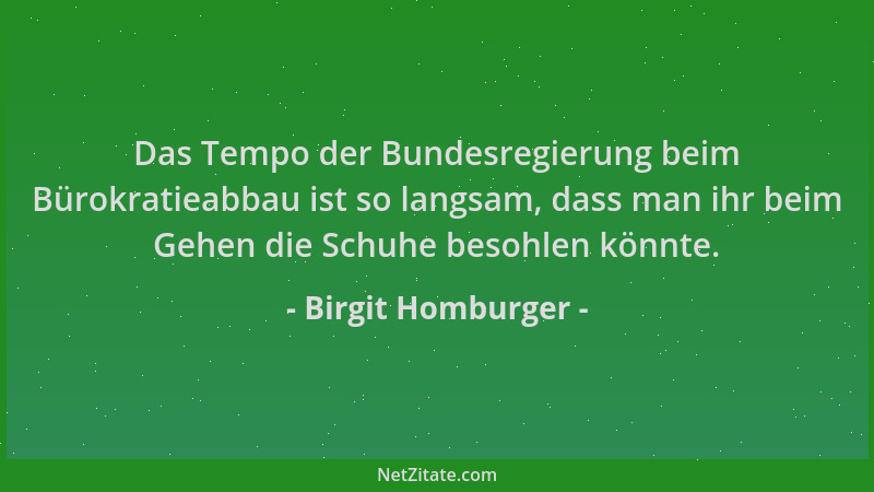 Birgit Homburger - Das Tempo der Bundesregierung beim Bürokratieabbau ist so langsam, dass man ihr beim Gehen die Schuhe be...
