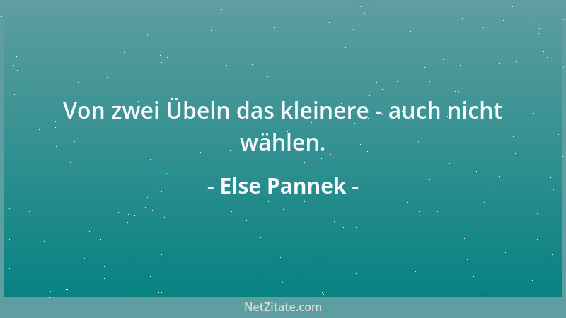 Else Pannek - Schmetterling - Leichtgebilde aus Licht und Freude....