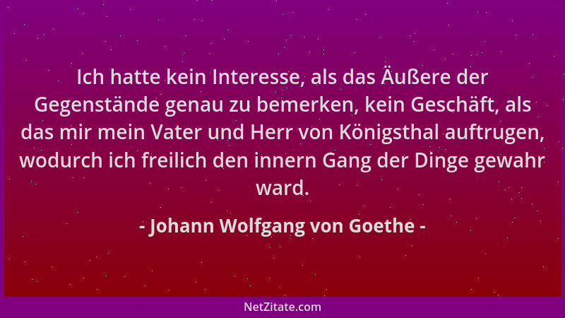 Johann Wolfgang von Goethe - Ich hatte kein Interesse, als das Äußere der Gegenstände genau zu bemerken, kein Geschäft, als...