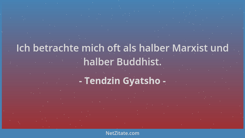 Tendzin Gyatsho - Ich betrachte mich oft als halber Marxist und halber Buddhist....