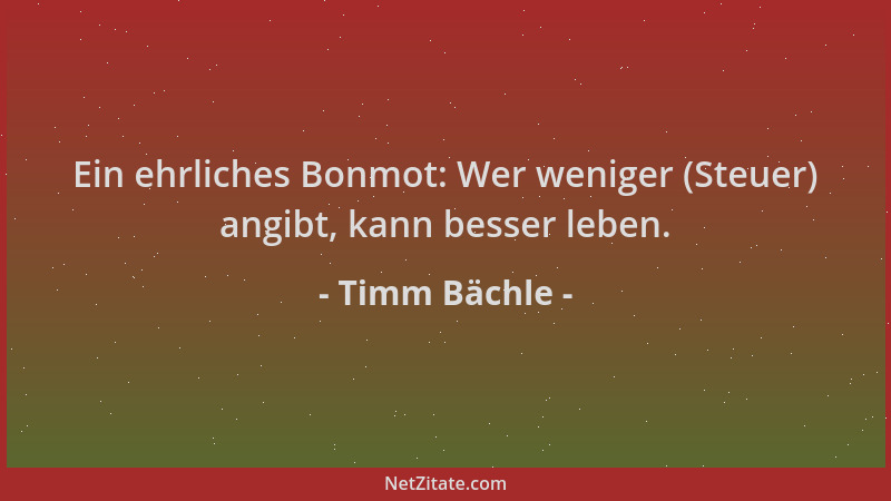 Timm Bächle - Ein ehrliches Bonmot: Wer weniger (Steuer) angibt, kann besser leben....