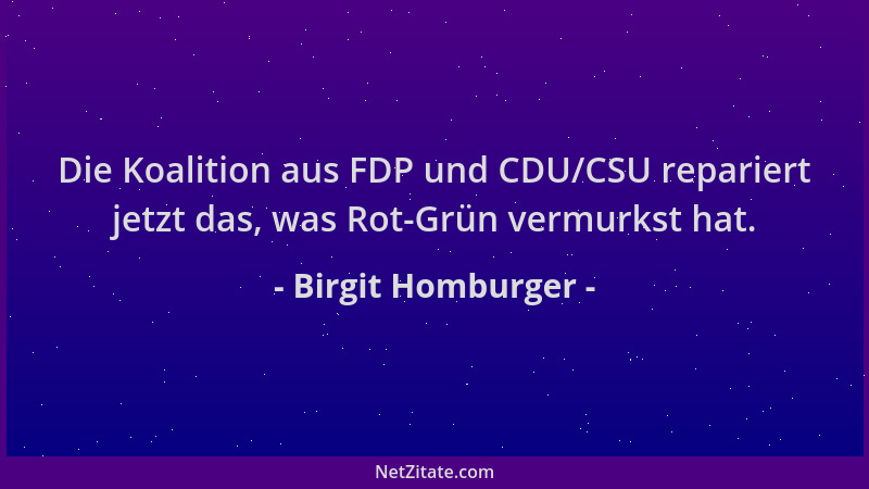 Birgit Homburger - Die Koalition aus FDP und CDU/CSU repariert jetzt das, was Rot-Grün vermurkst hat....