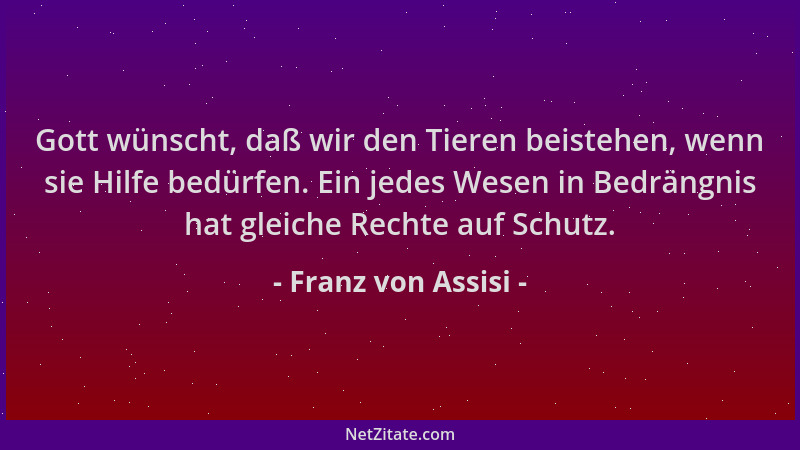 Franz von Assisi - Gott wünscht, daß wir den Tieren beistehen, wenn sie Hilfe bedürfen. Ein jedes Wesen in Bedrängnis hat g...