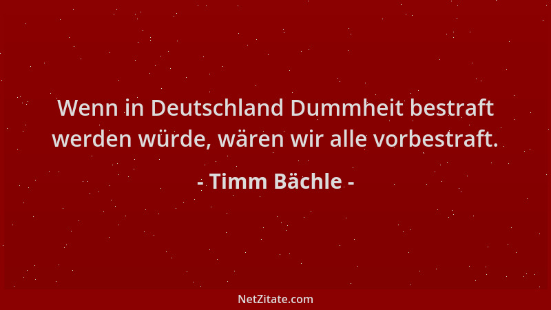 Timm Bächle - Wenn in Deutschland Dummheit bestraft werden würde, wären wir alle vorbestraft....