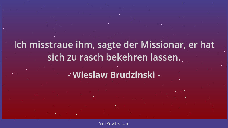 Wieslaw Brudzinski - Ich misstraue ihm, sagte der Missionar, er hat sich zu rasch bekehren lassen....