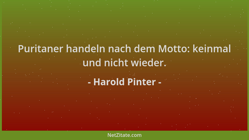 Harold Pinter - Puritaner handeln nach dem Motto: keinmal und nicht wieder....