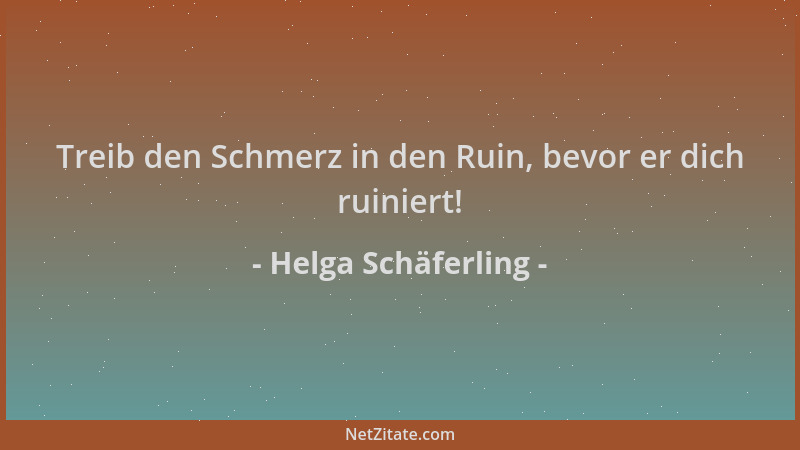 Helga Schäferling - Treib den Schmerz in den Ruin, bevor er dich ruiniert!...