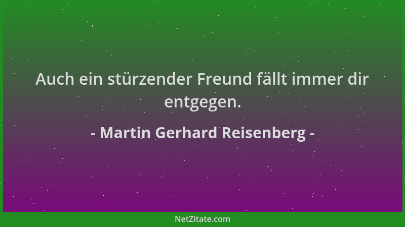 Martin Gerhard Reisenberg - Auch ein stürzender Freund fällt immer dir entgegen....