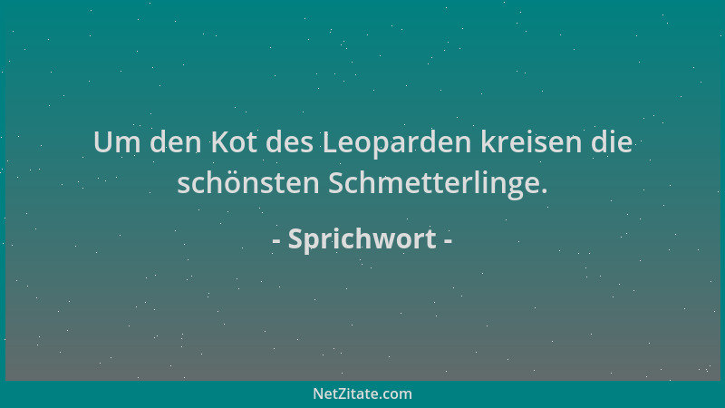 Sprichwort - Um den Kot des Leoparden kreisen die schönsten Schmetterlinge....