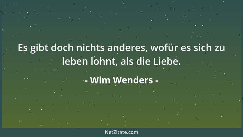 Wim Wenders - In ein paar Jahren wird es ein Luxus sein, auf Zelluloid zu drehen, und irgendwann wird man nur noch in ein p...