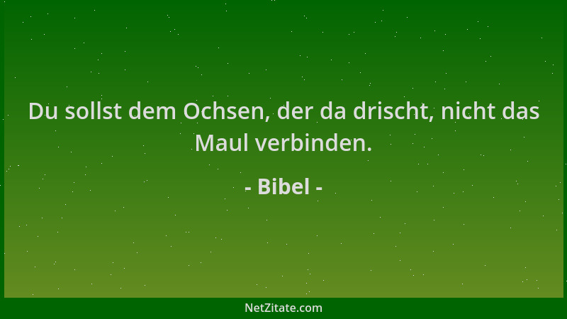 Bibel - Du sollst dem Ochsen, der da drischt, nicht das Maul verbinden....