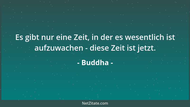 Buddha - Es gibt nur eine Zeit, in der es wesentlich ist aufzuwachen - diese Zeit ist jetzt....