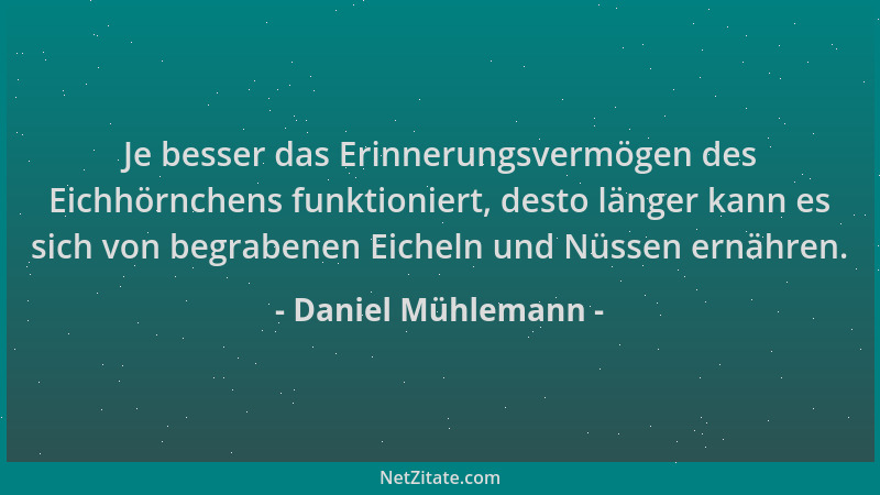 Daniel Mühlemann - Je besser das Erinnerungsvermögen des Eichhörnchens funktioniert, desto länger kann es sich von begraben...