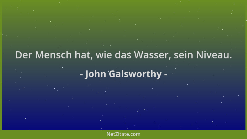 John Galsworthy - Der Mensch hat, wie das Wasser, sein Niveau....