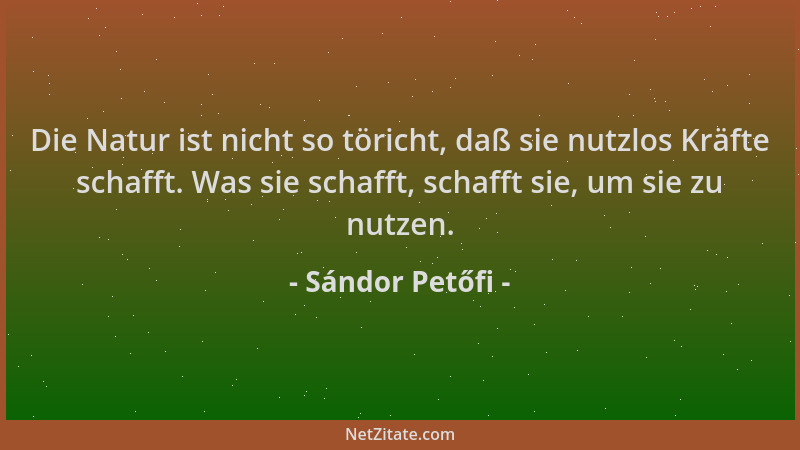Sándor Petőfi - Die Natur ist nicht so töricht, daß sie nutzlos Kräfte schafft. Was sie schafft, schafft sie, um sie zu nut...