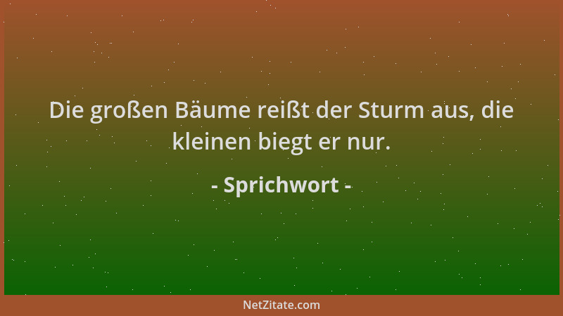 Sprichwort - Die großen Bäume reißt der Sturm aus, die kleinen biegt er nur....