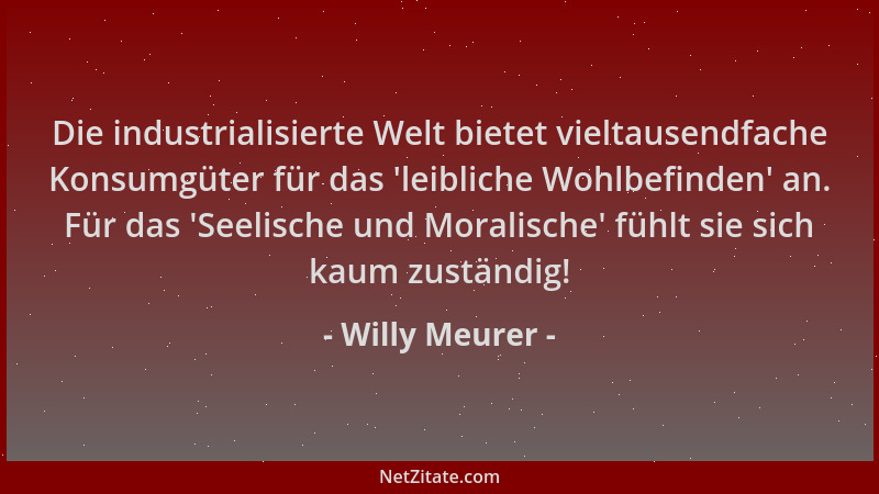 Willy Meurer - Die industrialisierte Welt bietet vieltausendfache Konsumgüter für das  'leibliche Wohlbefinden ' an. Für das...