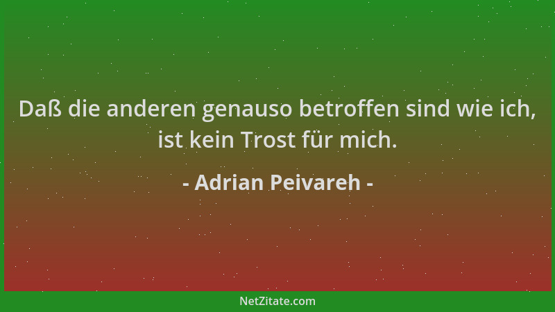 Adrian Peivareh - Daß die anderen genauso betroffen sind wie ich, ist kein Trost für mich....