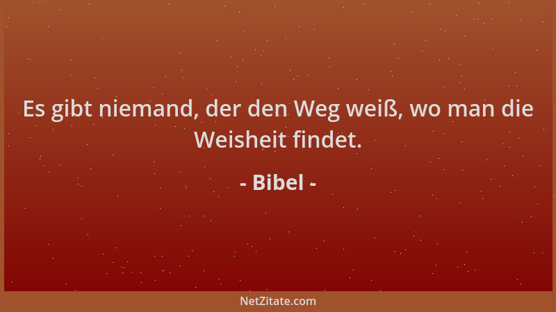 Bibel - Es gibt niemand, der den Weg weiß, wo man die Weisheit findet....