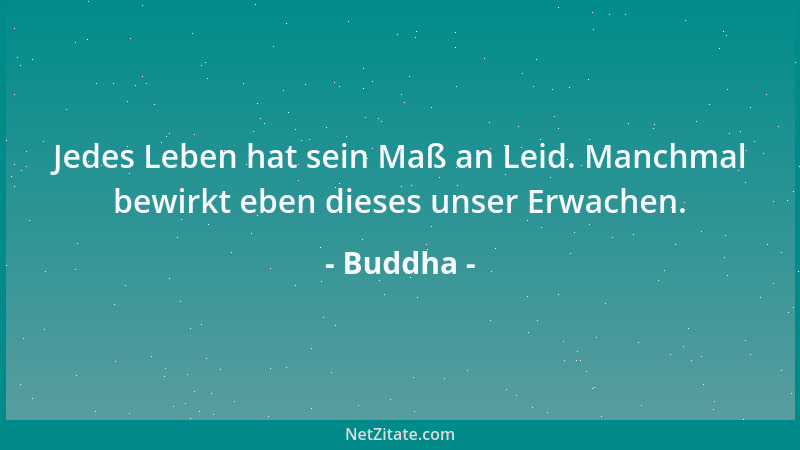 Buddha - Jedes Leben hat sein Maß an Leid. Manchmal bewirkt eben dieses unser Erwachen....