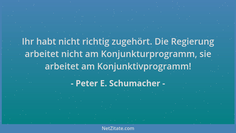 Peter E. Schumacher - Ihr habt nicht richtig zugehört. Die Regierung arbeitet nicht am Konjunkturprogramm, sie arbeitet am...