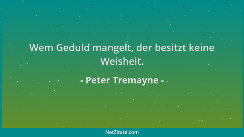 Peter Tremayne - Wem Geduld mangelt, der besitzt keine Weisheit....