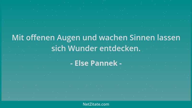 Else Pannek - Mit offenen Augen und wachen Sinnen lassen sich Wunder entdecken....