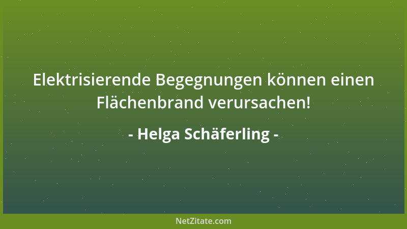 Helga Schäferling - Elektrisierende Begegnungen können einen Flächenbrand verursachen!...