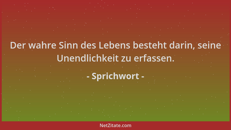 Sprichwort - Der wahre Sinn des Lebens besteht darin, seine Unendlichkeit zu erfassen....