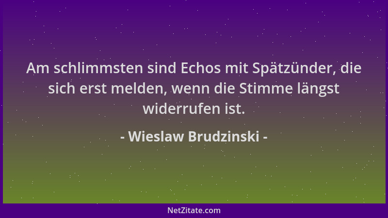 Wieslaw Brudzinski - Am schlimmsten sind Echos mit Spätzünder, die sich erst melden, wenn die Stimme längst widerrufen ist....