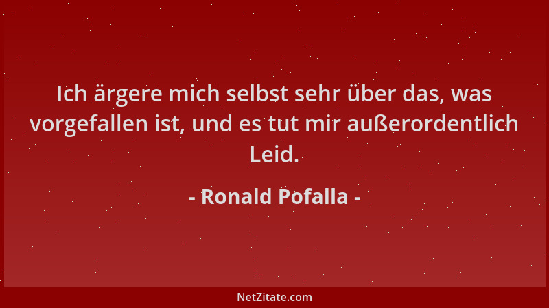 Ronald Pofalla - Ich ärgere mich selbst sehr über das, was vorgefallen ist, und es tut mir außerordentlich Leid....