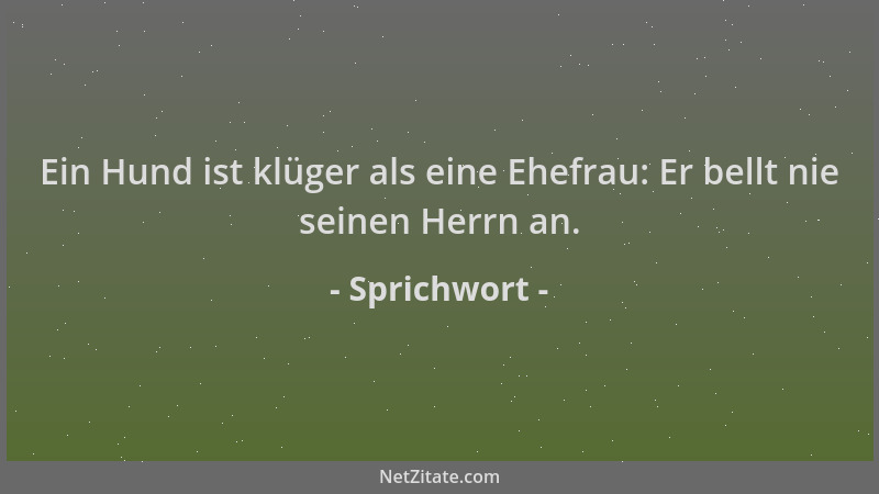 Sprichwort - Ein Hund ist klüger als eine Ehefrau: Er bellt nie seinen Herrn an....