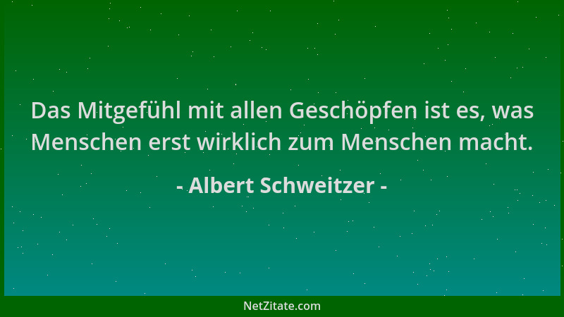 Albert Schweitzer - Das Mitgefühl mit allen Geschöpfen ist es, was Menschen erst wirklich zum Menschen macht....