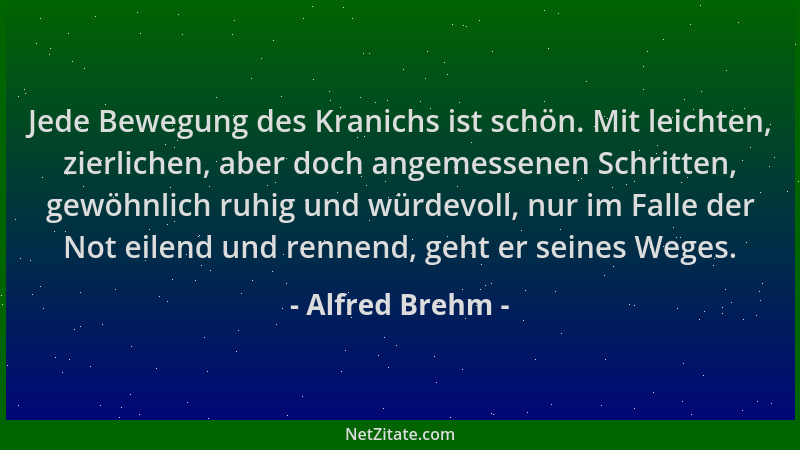 Alfred Brehm - Jede Bewegung des Kranichs ist schön. Mit leichten, zierlichen, aber doch angemessenen Schritten, gewöhnlich...