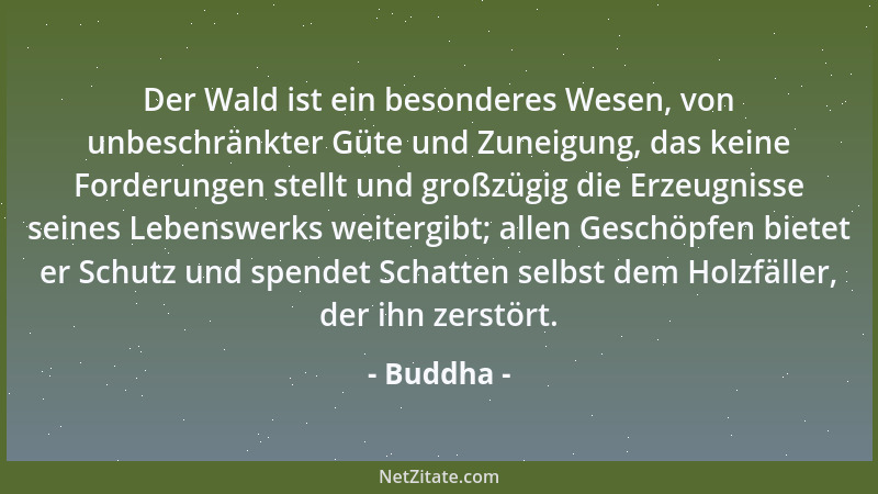 Buddha - Der Wald ist ein besonderes Wesen, von unbeschränkter Güte und Zuneigung, das keine Forderungen stellt und großzüg...